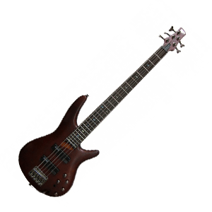 BASSGUITARS