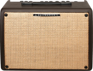 IBANEZ Troubadour Acoustic Amplifier-30 Watt