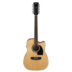 12 STRUNOVÉ ELEKTROAKUSTICKÉ GITARY